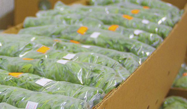Distribution package