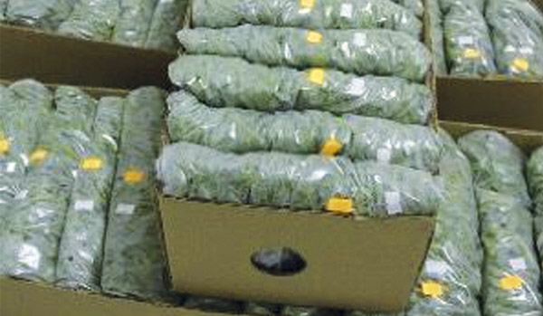 Wholesalers package